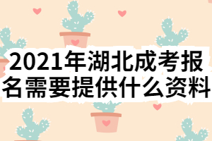 2021年湖北成考报名需要提供什么资料