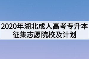 2021年湖北成人高考专升本征集志愿院校及计划