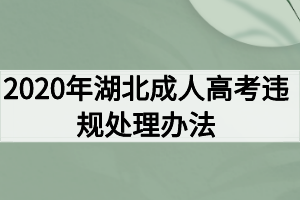 2021年湖北成人高考违规处理办法