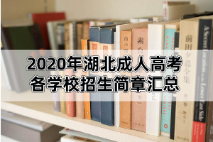 2020年湖北成考各学校招生简章汇总