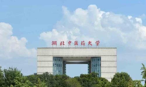 网上怎么报考湖北中医药大学成考